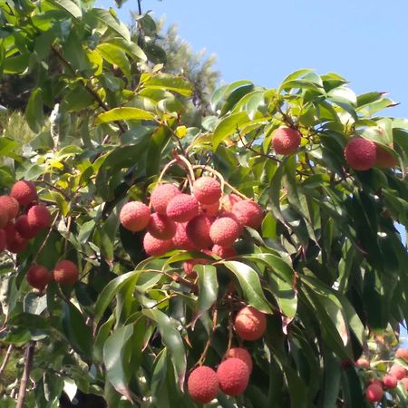 모트릴 Cortijo Del Sidi 빌라 외부 사진